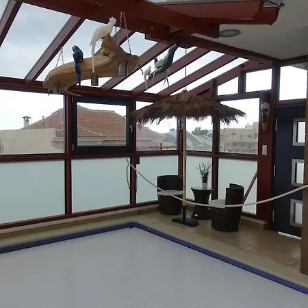 Designer Haus Mit Beheiztem Pool *