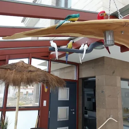 Designer Haus Mit Beheiztem Pool Дом отдыха